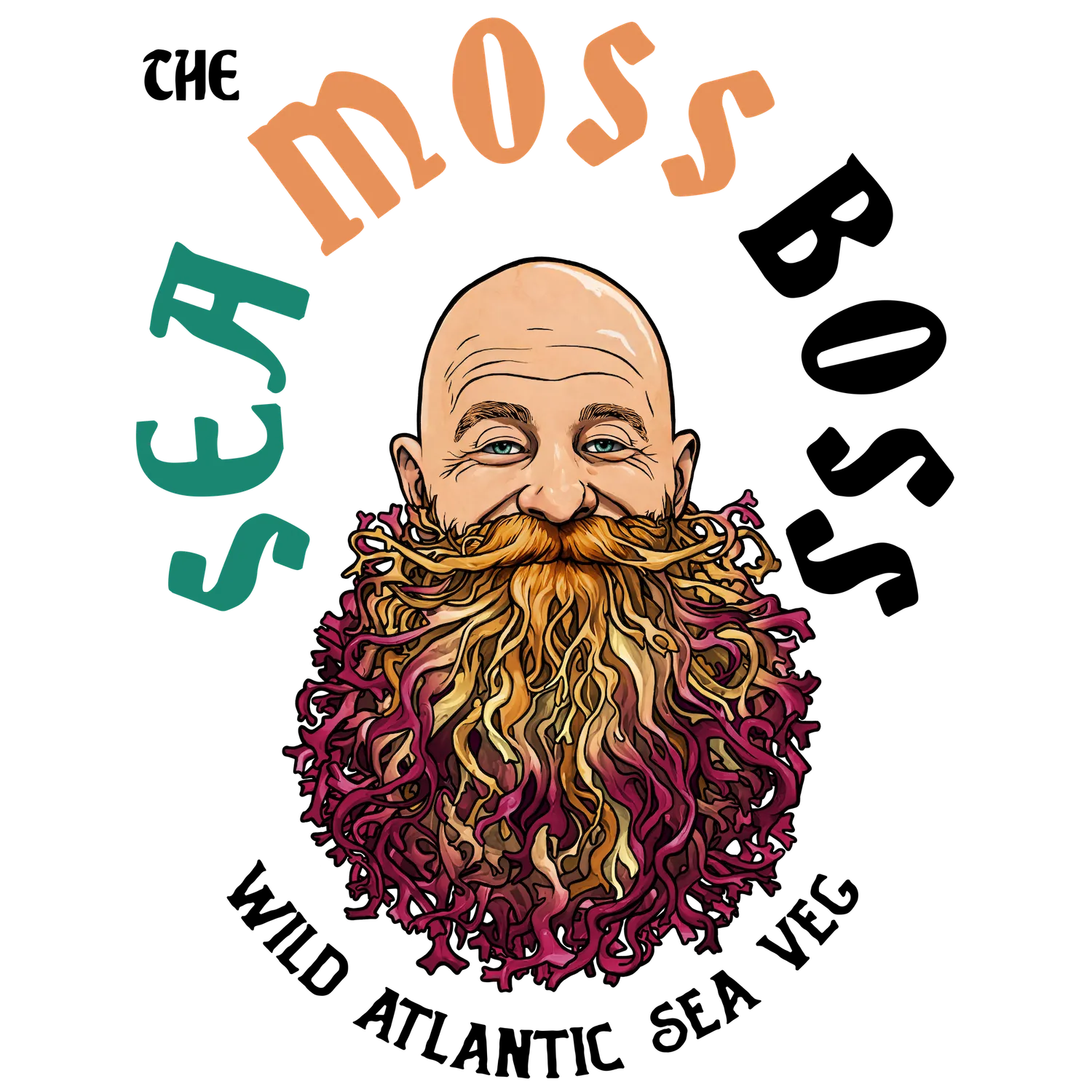  The Sea Moss Boss 